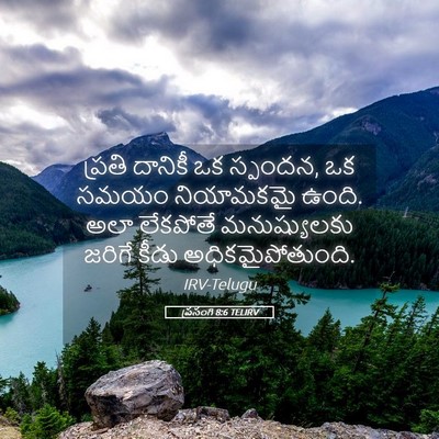 Picture 05 - ప్రసంగి 8:6 TELIRV - ప్రతి దానికీ ఒక - Bible Verse Picture