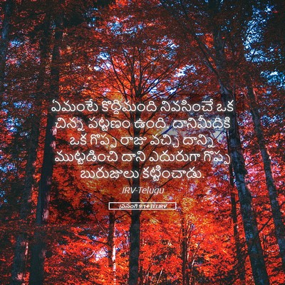 Picture 05 - ప్రసంగి 9:14 TELIRV - ఏమంటే కొద్దిమంది - Bible Verse Picture