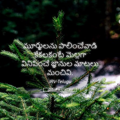 Picture 05 - ప్రసంగి 9:17 TELIRV - మూర్ఖులను - Bible Verse Picture