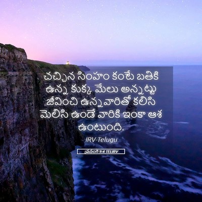 Picture 05 - ప్రసంగి 9:4 TELIRV - చచ్చిన సింహం కంటే - Bible Verse Picture