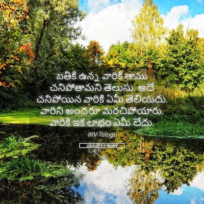 Picture 05 - ప్రసంగి 9:5 TELIRV - బతికి ఉన్న వారికి - Bible Verse Picture