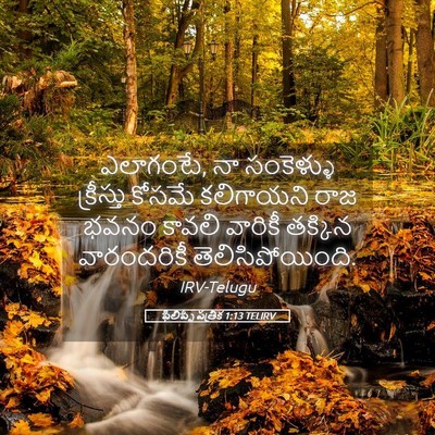 Picture 05 - ఫిలిప్పీ పత్రిక 1:13 TELIRV - ఎలాగంటే, నా - Bible Verse Picture