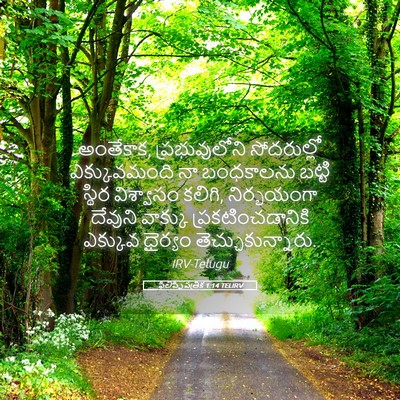 Picture 05 - ఫిలిప్పీ పత్రిక 1:14 TELIRV - అంతేకాక, - Bible Verse Picture