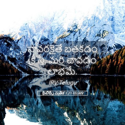 Picture 05 - ఫిలిప్పీ పత్రిక 1:21 TELIRV - నావరకైతే బతకడం - Bible Verse Picture