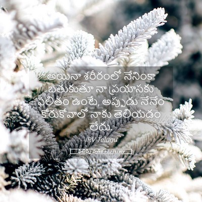Picture 05 - ఫిలిప్పీ పత్రిక 1:22 TELIRV - అయినా శరీరంలో - Bible Verse Picture