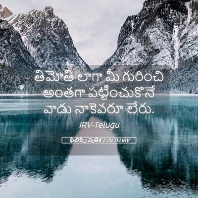 Picture 05 - ఫిలిప్పీ పత్రిక 2:20 TELIRV - తిమోతి లాగా మీ - Bible Verse Picture