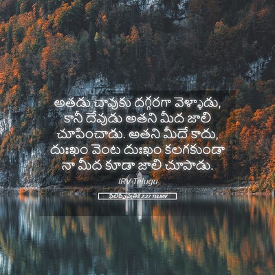 Picture 05 - ఫిలిప్పీ పత్రిక 2:27 TELIRV - అతడు చావుకు - Bible Verse Picture
