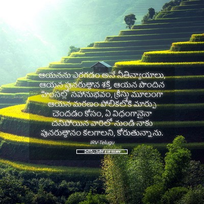 Picture 05 - ఫిలిప్పీ పత్రిక 3:10 TELIRV - ఆయనను ఎరగడం అనే - Bible Verse Picture