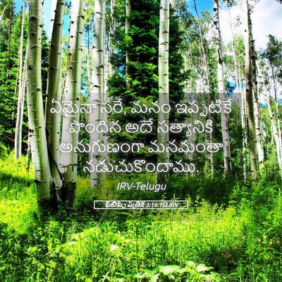 Picture 05 - ఫిలిప్పీ పత్రిక 3:16 TELIRV - ఏమైనా సరే, మనం - Bible Verse Picture