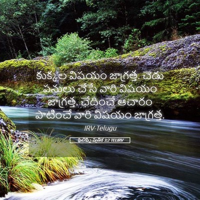 Picture 05 - ఫిలిప్పీ పత్రిక 3:2 TELIRV - కుక్కల విషయం - Bible Verse Picture