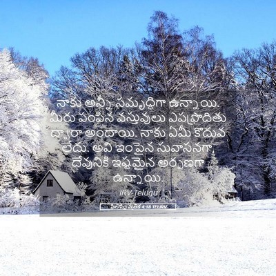 Picture 05 - ఫిలిప్పీ పత్రిక 4:18 TELIRV - నాకు అన్నీ - Bible Verse Picture