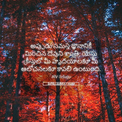Picture 05 - ఫిలిప్పీ పత్రిక 4:7 TELIRV - అప్పుడు సమస్త - Bible Verse Picture