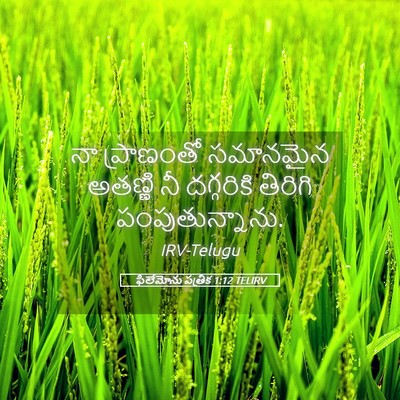 Picture 05 - ఫిలేమోను పత్రిక 1:12 TELIRV - నా ప్రాణంతో - Bible Verse Picture
