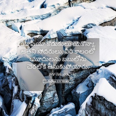 Picture 05 - మత్తయి 1:11 TELIRV - యోషీయా కొడుకులు - Bible Verse Picture