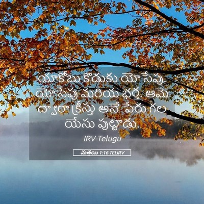 Picture 05 - మత్తయి 1:16 TELIRV - యాకోబు కొడుకు - Bible Verse Picture