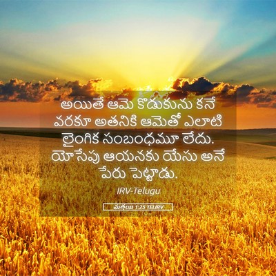 Picture 05 - మత్తయి 1:25 TELIRV - అయితే ఆమె - Bible Verse Picture