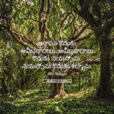 Picture 05 - మత్తయి 1:4 TELIRV - ఆరాము కొడుకు - Bible Verse Picture