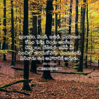 Picture 05 - మత్తయి 10:10 TELIRV - బంగారం, వెండి, - Bible Verse Picture