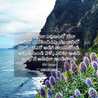 Picture 05 - మత్తయి 10:11 TELIRV - మీరు ఏదైనా - Bible Verse Picture