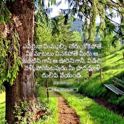 Picture 05 - మత్తయి 10:14 TELIRV - ఎవరైనా మిమ్మల్ని - Bible Verse Picture