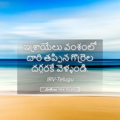 Picture 05 - మత్తయి 10:6 TELIRV - ఇశ్రాయేలు వంశంలో - Bible Verse Picture