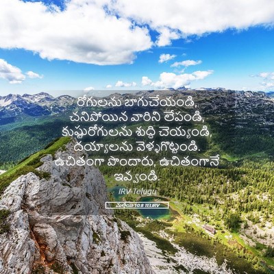 Picture 05 - మత్తయి 10:8 TELIRV - రోగులను - Bible Verse Picture