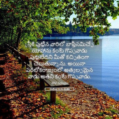 Picture 05 - మత్తయి 11:11 TELIRV - స్త్రీకి పుట్టిన - Bible Verse Picture
