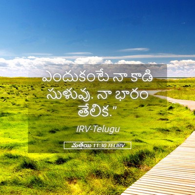 Picture 05 - మత్తయి 11:30 TELIRV - ఎందుకంటే నా కాడి - Bible Verse Picture
