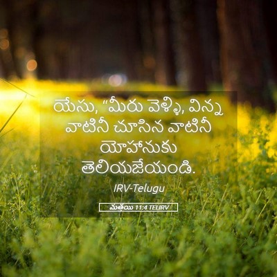Picture 05 - మత్తయి 11:4 TELIRV - యేసు, “మీరు వెళ్ళి, - Bible Verse Picture