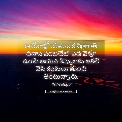 Picture 05 - మత్తయి 12:1 TELIRV - ఆ రోజుల్లో యేసు ఒక - Bible Verse Picture