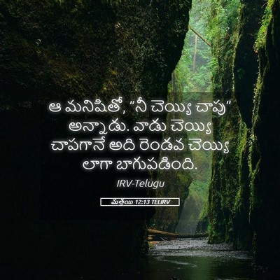Picture 05 - మత్తయి 12:13 TELIRV - ఆ మనిషితో, “నీ - Bible Verse Picture