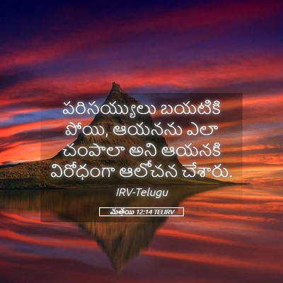 Picture 05 - మత్తయి 12:14 TELIRV - పరిసయ్యులు బయటికి - Bible Verse Picture