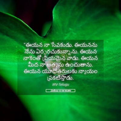 Picture 05 - మత్తయి 12:18 TELIRV - “ఈయన నా సేవకుడు. - Bible Verse Picture