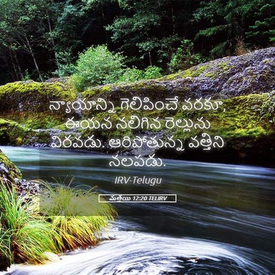 Picture 05 - మత్తయి 12:20 TELIRV - న్యాయాన్ని - Bible Verse Picture