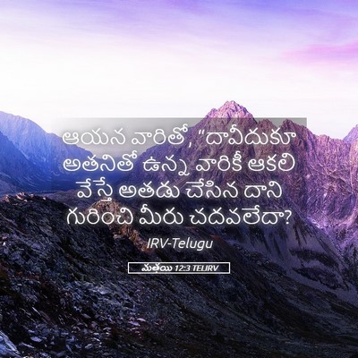 Picture 05 - మత్తయి 12:3 TELIRV - ఆయన వారితో, - Bible Verse Picture