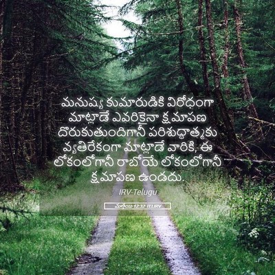 Picture 05 - మత్తయి 12:32 TELIRV - మనుష్య కుమారుడికి - Bible Verse Picture