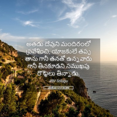 Picture 05 - మత్తయి 12:4 TELIRV - అతడు దేవుని - Bible Verse Picture