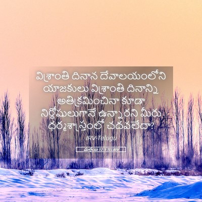 Picture 05 - మత్తయి 12:5 TELIRV - విశ్రాంతి దినాన - Bible Verse Picture