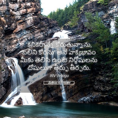 Picture 05 - మత్తయి 12:7 TELIRV - ‘కనికరాన్నే - Bible Verse Picture