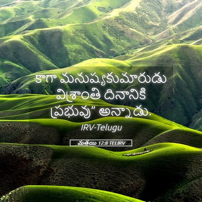 Picture 05 - మత్తయి 12:8 TELIRV - కాగా - Bible Verse Picture