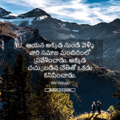 Picture 05 - మత్తయి 12:9 TELIRV - ఆయన అక్కడ నుండి - Bible Verse Picture