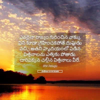 Picture 05 - మత్తయి 13:19 TELIRV - ఎవరైనా రాజ్యం - Bible Verse Picture