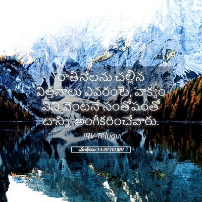 Picture 05 - మత్తయి 13:20 TELIRV - రాతినేలను చల్లిన - Bible Verse Picture