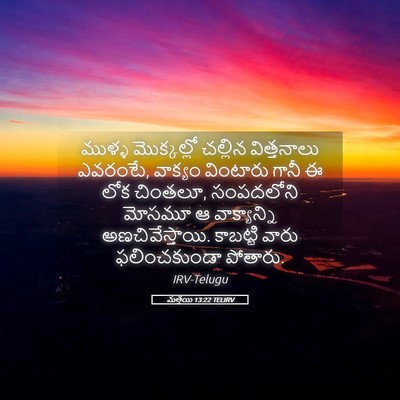 Picture 05 - మత్తయి 13:22 TELIRV - ముళ్ళ మొక్కల్లో - Bible Verse Picture