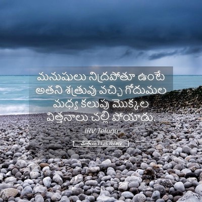 Picture 05 - మత్తయి 13:25 TELIRV - మనుషులు నిద్రపోతూ - Bible Verse Picture