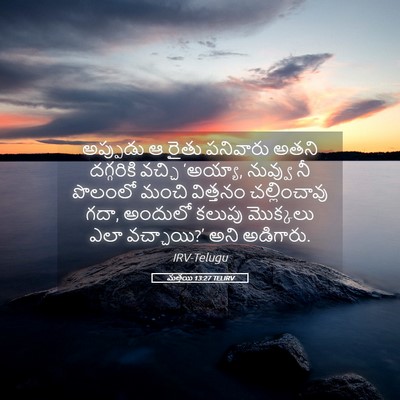 Picture 05 - మత్తయి 13:27 TELIRV - అప్పుడు ఆ రైతు - Bible Verse Picture
