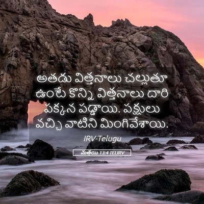 Picture 05 - మత్తయి 13:4 TELIRV - అతడు విత్తనాలు - Bible Verse Picture