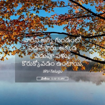 Picture 05 - మత్తయి 13:50 TELIRV - వారిని అగ్ని - Bible Verse Picture