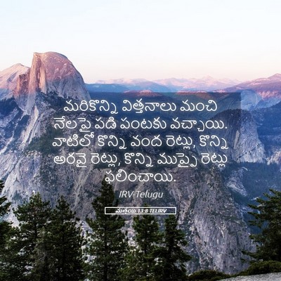 Picture 05 - మత్తయి 13:8 TELIRV - మరికొన్ని - Bible Verse Picture
