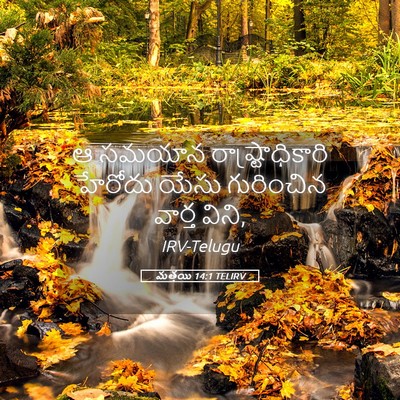 Picture 05 - మత్తయి 14:1 TELIRV - ఆ సమయాన - Bible Verse Picture